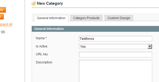 Cargando una Categoría en Magento