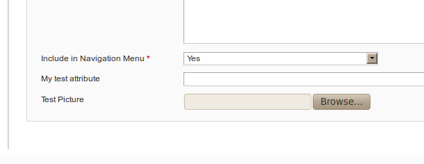 Atributo de tipo imagen para las categorías en Magento