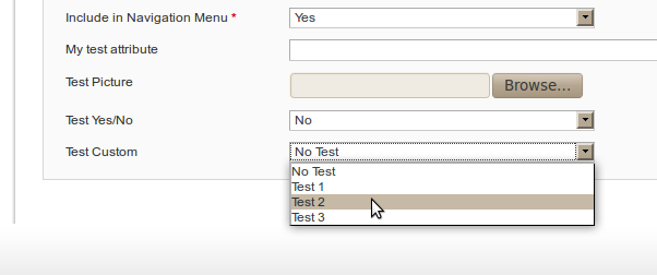 Atributo de tipo dropdown con valores propios para las categorías en Magento