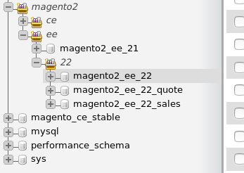 Bases de datos para Magento 2.2
